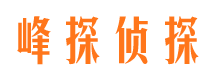 桃城捉小三公司